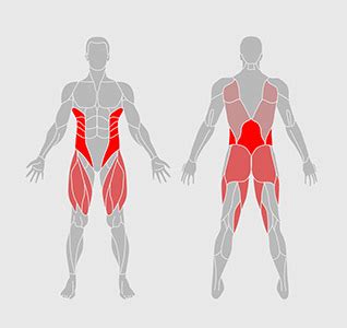 Scientists say that being sedentary is the disease of our generation. Back & Core Workout