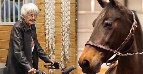 year  woman fulfills lifelong   riding rare horse breed upliftingtodaycom