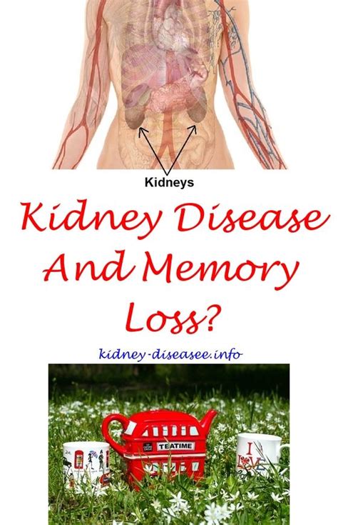 It's unclear whether glucosamine helps with osteoarthritis knee pain or whether either supplement lessens osteoarthritis pain in other joints. Kidney Disease Recipes People (With images) | Kidney ...