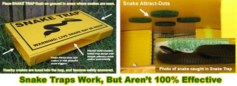 Pest management in business warehouses could be a massive challenge for many management firms. Eight Ways to Get Rid of Snakes