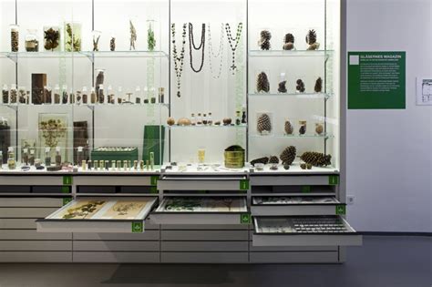 Wie lebten helmut und loki schmidt? Lösungen | MüllerKälber GmbH