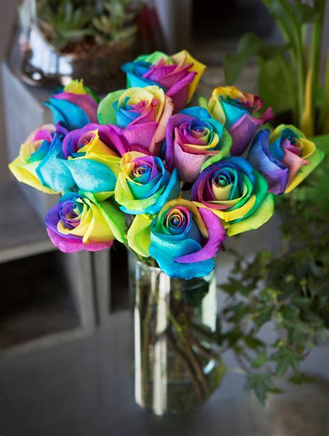 Bouquet Of Fresh Cut Rainbow Roses 12 Rainbow Swirl Roses With Vase