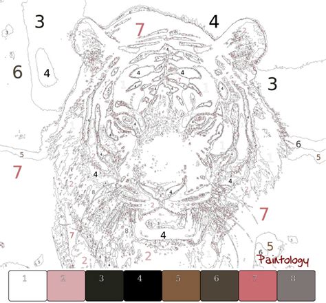 Paint An HD Tiger Colorful Paint By Numbers Paintology Drawing