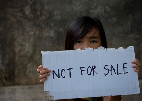 Human Trafficking What Are The Different Types Of Human Trafficking Gambaran
