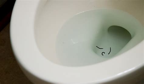 Horsehair worms resemble hairs from horses actively moving in the water. How To Kill Drain Worms - Best Drain Photos Primagem.Org