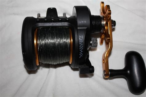 Daiwa Saltist 20 Levelwind And 40 Saltist Bg Bloodydecks