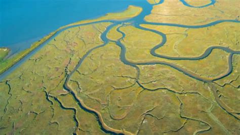 What Is An Estuary The National Environmental Education Foundation