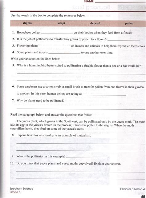 Ecosystem Worksheets Grade 7 | Ecosystem worksheets, Worksheets for