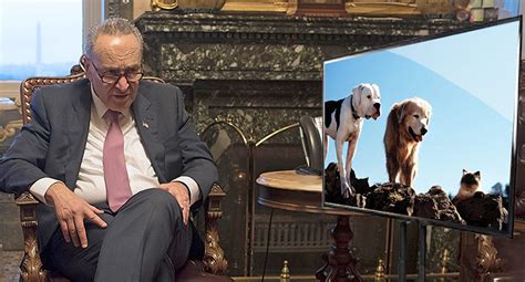 Three pets chance, an adventurous american bulldog; Chuck Schumer Keeps Watching Homeward Bound Hoping Pets ...
