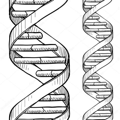 Seamless Dna Double Helix Pattern — Stock Vector © Lhfgraphics 17616139
