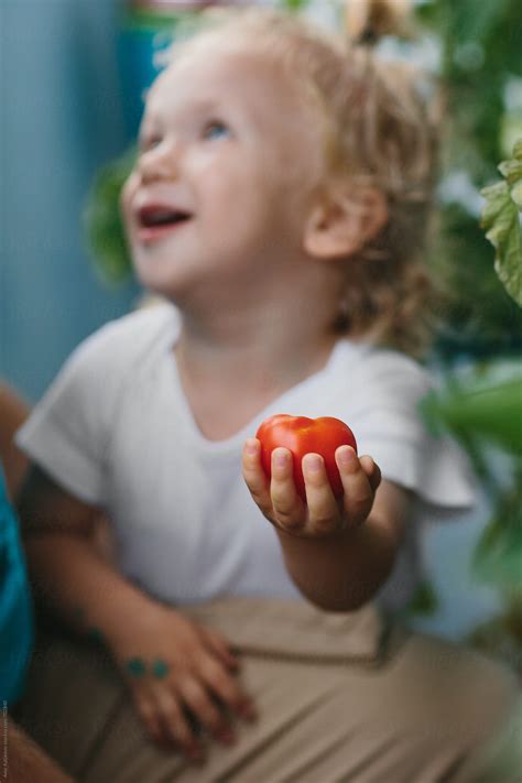 Laughing Little Blond Boy Holding A Ripe Tomato By Stocksy