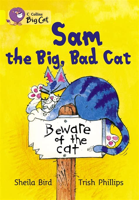 Sam And The Big Bad Cat By Bird Sheila 9780007185726 Brownsbfs