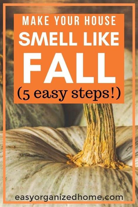 So adjust your mood and focus your thoughts by leveraging these natural smells. How to make house smell like fall? Use natural fall scents ...