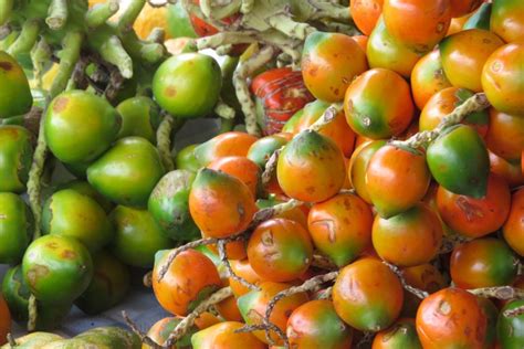 Amazing Costa Rican Fruits You Didnt Know Existed Costa Rica Villa