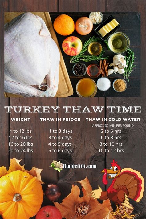 How To Thaw A Frozen Turkey Fast Defrost A Turkey Last Minute