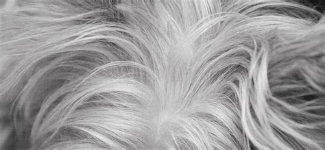 Ini Penyebab Rambut Cepat Beruban di Usia Muda, Apa Saja? - DokterSehat