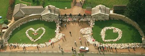 Pin by Raven Ghostly on .British Royals | Princess diana ...