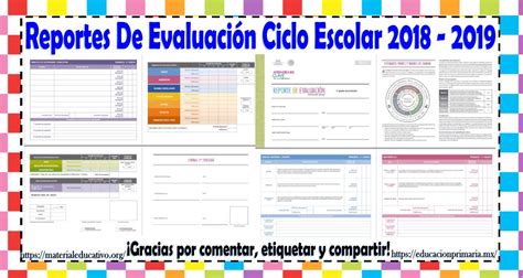 Reportes De Evaluación De Todos Los Grados Ciclo Escolar 2018 2019 De