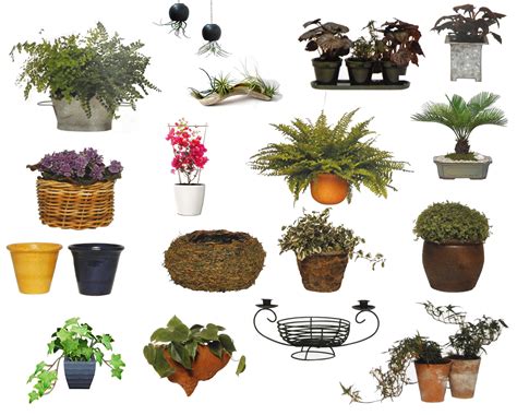 With auto flowering plants it's not easy to chose the pot size because you need to think not only about the time how long will your plant live, but you need to also think about the size of the plant and how. Nursery Pot Sizes Chart ~ TheNurseries