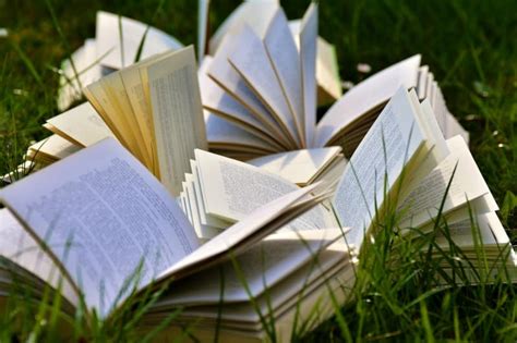3 Contoh Biografi Penulis Buku, Artikel, Novel, dan Cerpen