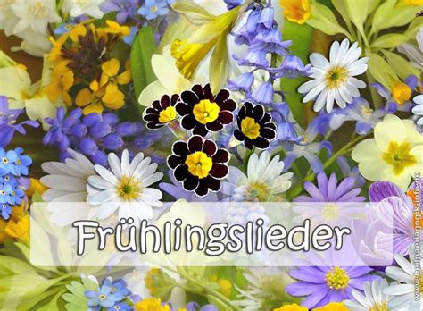 Frühlingslieder mit text, gitarrenakkorden und kostenlosen noten zum ausdrucken, sowie melodien (midis, mp3s, videos) zum anhören. Frühlingslieder Erwachsene Mit Note : Iulian - Rostock ...