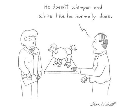 Whimper And Whine Veterinary Humor Vet Tech Humor Veterinary Memes