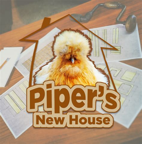 Pipers New Coop 01_Feature Image V2 – Mind Your Dirt