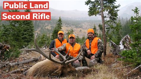 Colorado Second Rifle Elk Hunt Public Land Youtube