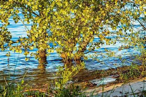 Lake Michigan And Lake Huron Fall Just A Sliver Shy Of Record Water