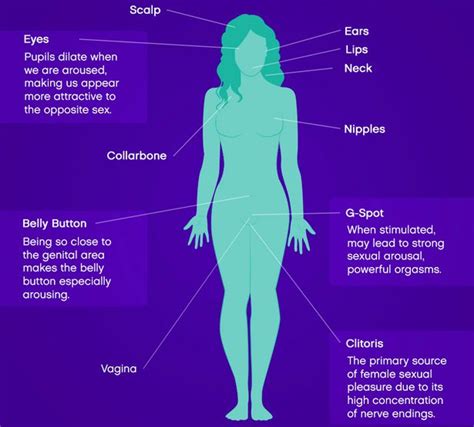 The 25 Orgasm Inducing Pleasure Points On The Female Body To Touch