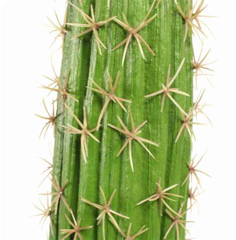 Also, any cacti that flower or do anything else intersting would be cool. Artificial Saguaro Cactus | Fake Cactus | Blooming Artificial