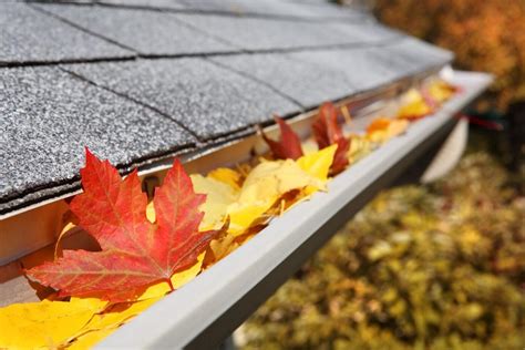 5 Essential Roof Maintenance Tips To Keep The Roof On Your House In Top