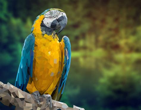 Low Poly Parrot Behance