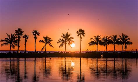 Miami Amanecer Florida Paisaje Fotografía Fondo De Etsy