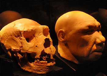 Réplica y recreación del cráneo número 5 de Atapuerca ...