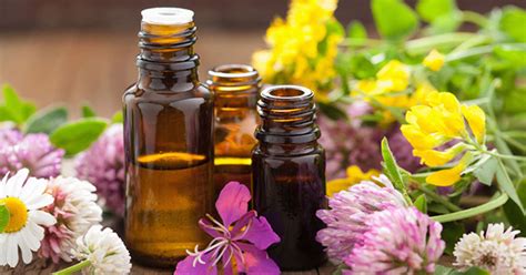 Aromatic Blending Of Essential Oils Aromaweb