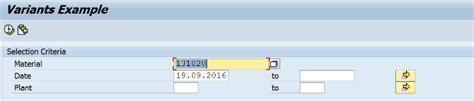 Sap Abap Central Selection Screen Variants Part Iii