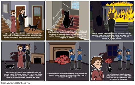 Edgar Allen Poe The Black Cat Summary Storyboard