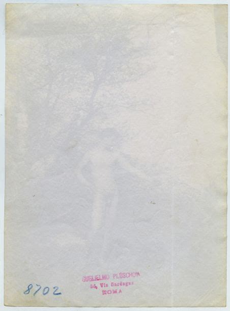 Guglielmo Plüschow Study of a Male Nude MutualArt