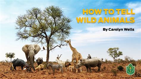 How To Tell Wild Animals // English // Class 10th // Summary