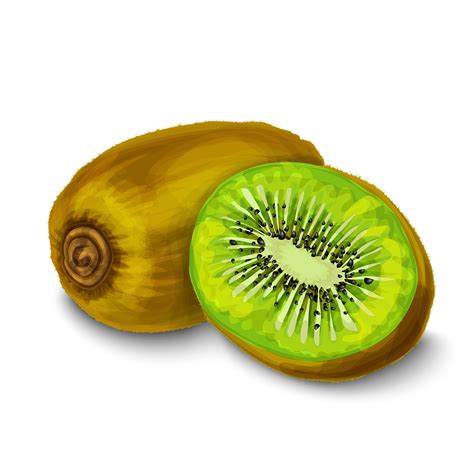 Kiwi isolated poster or emblem 459738 Vector Art at Vecteezy