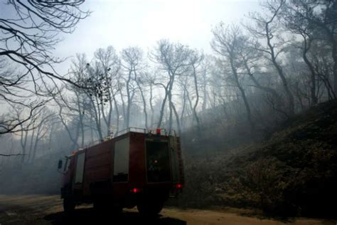 Η φωτιά στην αρχαία ολυμπία μαίνεται, με αποτέλεσμα να παρθεί απόφαση για την εκκένωση δύο οικισμών προκειμένου την προστασία των πολιτών. Φωτιά στην Αρχαία Ολυμπία - Μαίνεται η φωτιά - THE PAPER