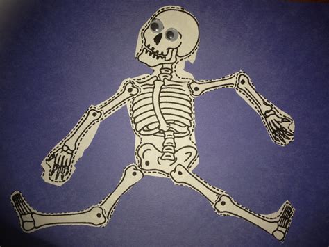 Aug 08, 2019 · the human skeletal system is not quite as simple as the popular children's song suggests. 5 Ways to Teach Kids About Their Body - Cleverly Changing