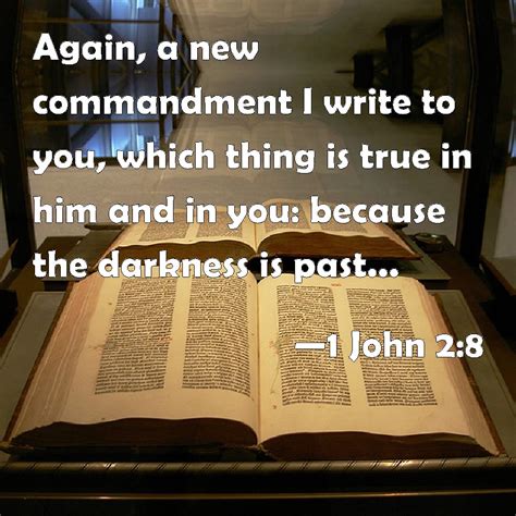 1 John 28 Again A New Commandment I Write To You Which Thing Is True