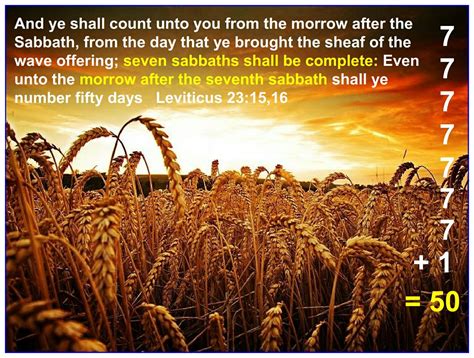 Shavuot 119 Ministries Leviticus 23 Feasts Of The Lord Israel Today