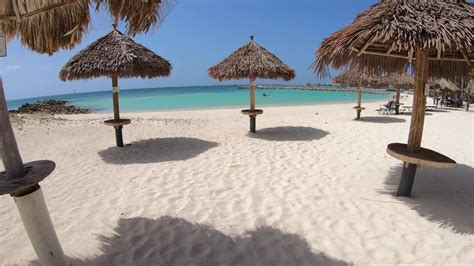 Take A Tour Of Divi Phoenix Beach Resort On Aruba Youtube