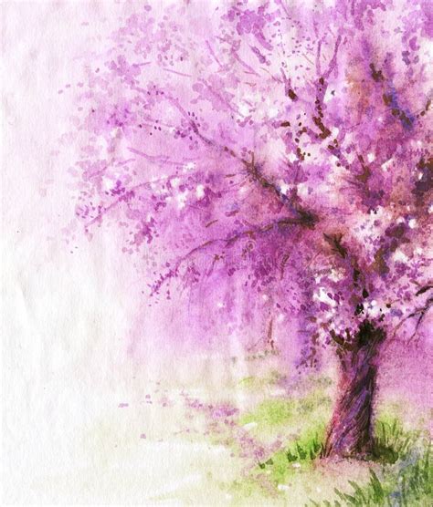 Bloeiende Sakura Boom Stock Illustratie Illustration Of Park 66134658