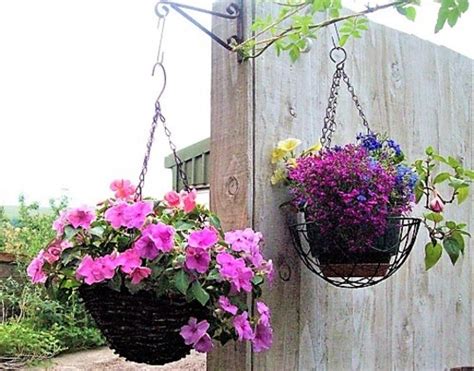 Hanging Baskets Grows On You