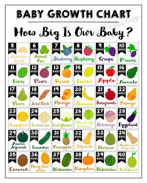 Solid intake will increase gradually, it depends when you started giving her solid food. PRINTABLE How Big Is Baby Sign-Printable Baby Growth Chart ...