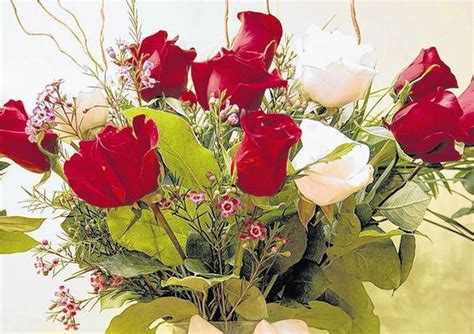 Maybe you would like to learn more about one of these? 738 million flowers for Valentine's Day go through Miami ...